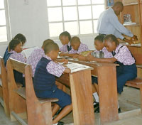 Topline School Library